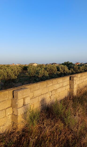 Torpaq sahələrinin satışı: 5 sot, Tikinti, Mülkiyyətçi, Kupça (Çıxarış) -da lalafo.az — 1 Torpaq sahələrinin satışı: 5 sot, Tikinti, Mülkiyyətçi, Kupça (Çıxarış) — 1