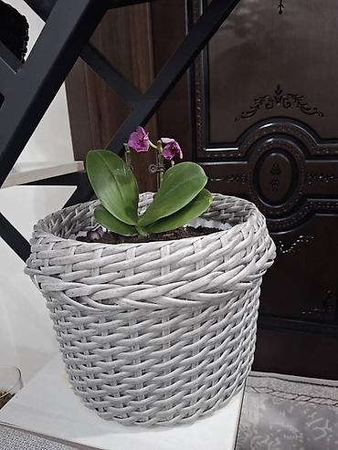 Горшки для растений: Плетёные кашпо для растений - Материал: синтетический ротанг — 16