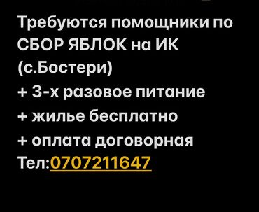 черно рабочие: Талап кылынат Ар түрдүү жумуштарды жасаган жумушчу, Төлөм Ай сайын, Тажрыйбасыз