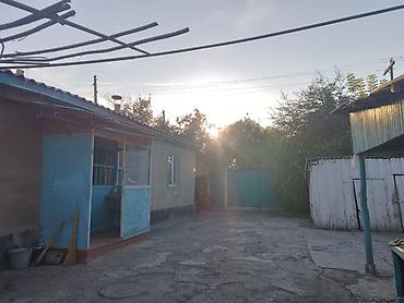 коттедж пантера сливы: Продаётся жилой дом в начале села Петровка с приусадебным участком — 2