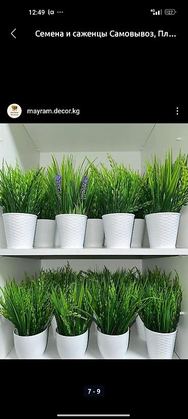 Декоративные цветы: Искусственные деревьяи цветы для вашего интерьера Адрес: г. Бишкек. ул — 7