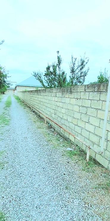 Torpaq sahələrinin satışı: 24 sot, Tikinti, Mülkiyyətçi, Kupça (Çıxarış) — 14