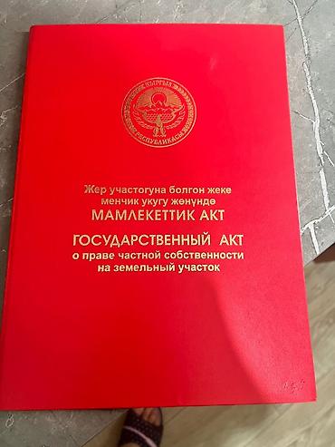 участак ак ордо: 4 соток, Красная книга — 1