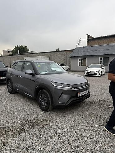 портативная станция: BYD Yuan Up: 2025 г., Автомат, Электромобиль, Кроссовер — 1