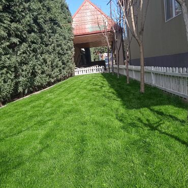 Bağbanlar: Bağ işləri ağac və kolların budanması,şəkilləndirməsi dərmanlara qazon -da lalafo.az — 6 Bağbanlar: Bağ işləri ağac və kolların budanması,şəkilləndirməsi dərmanlara qazon — 6