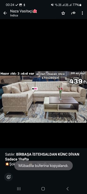 Otaq bitkiləri: Künc divan, Qonaq otağı üçün, Bazalı, Açılan