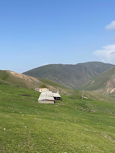 кошару: Кошара, 144 соток, Действующий, С оборудованием, Газ, Электричество, Канализация — 2