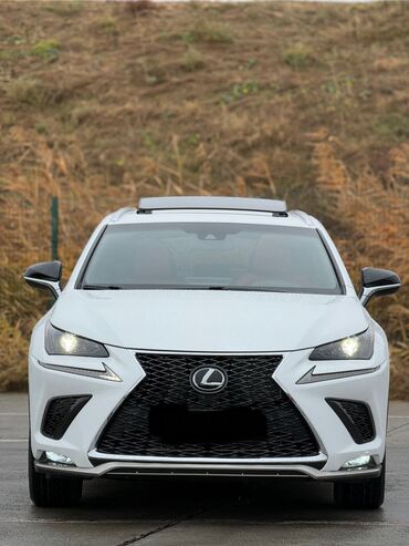 elantra 2020: Lexus NX: 2020 г., 2 л, Автомат, Бензин, Кроссовер