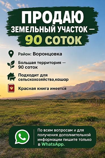 ферма кошара фазенда: 90 соток — 1