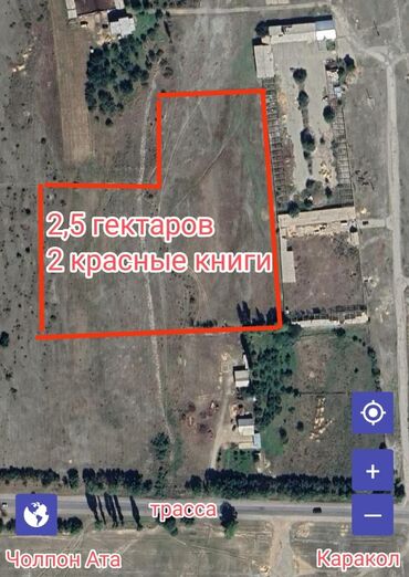 земельный участок в караколе: 2500 соток, Красная книга