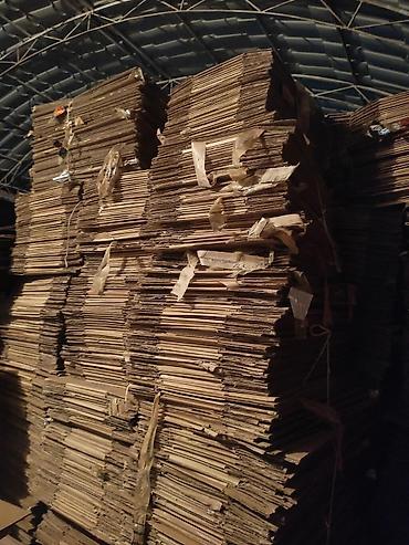 Товары и оборудование для с/х животных: Умут
умут каропки продаем — 4