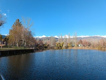 Посуточная аренда комнат: 18 м², С мебелью — 15