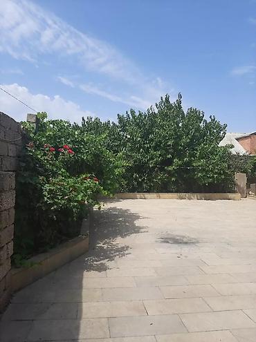 Həyət evi alıram: - Geniş, daşla döşənmiş həyət: yaşıl ağaclar, gül kolları, hasarlı — 2