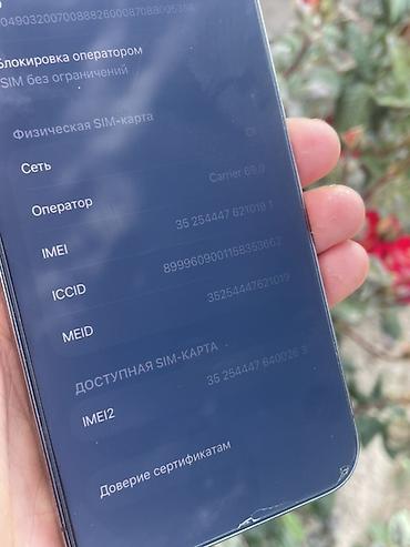 iphone 17 plus: IPhone 13 Pro, Б/у, 128 ГБ, Sierra Blue, Чехол, 80 % — 8