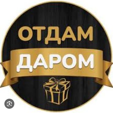 женские платья от производителя: Отдам даром вещи для девочки 7лет школьные