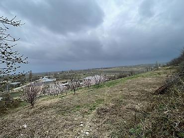 Kənd təsərrüfatı, Makler, Kupça (Çıxarış) lalafo.az -da — 2 Kənd təsərrüfatı, Makler, Kupça (Çıxarış) — 2