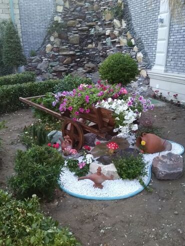 Ağaclar: Dekarativ agaclarin satisi qazon torpaq torf diger gubrelerin satisi — 8