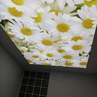 Потолочные работы: Монтаж потолков, Монтаж потолочных плинтусов Больше 6 лет опыта — 7