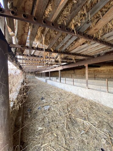 Продажа участков: 20 соток, Для бизнеса, Красная книга, Договор купли-продажи — 8