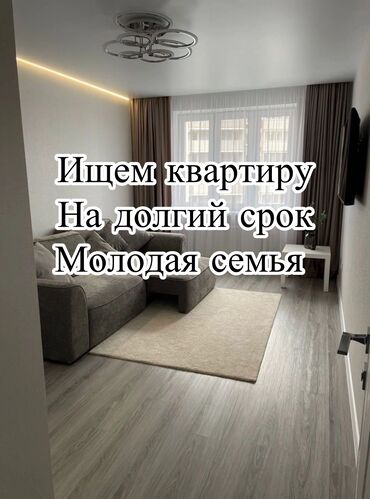 2 комнатная квартира долгосрочно: 2 комнаты, Собственник, Без подселения, С мебелью частично