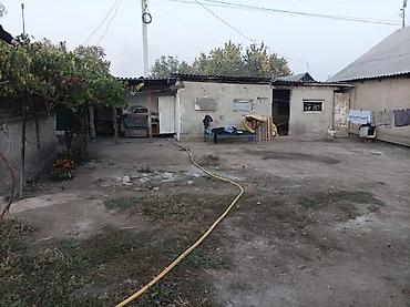 Продажа коттеджей и домов: Продаётся частный дом с большим двором и хозяйственными постройками at lalafo.kg — 5 Продажа коттеджей и домов: Продаётся частный дом с большим двором и хозяйственными постройками — 5