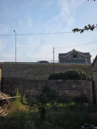 dağ: 5 sot, Kupça (Çıxarış) — 3