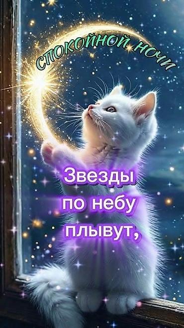 картинка фото: Дизайнерская открытка-изображение “Спокойной ночи” - Формат — 1