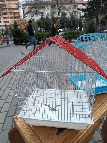 Yemlər: Quş yemləri 1-azn Qırmızı darı topdan 1azn Pərakəndə 1,50azn 1-kq — 13