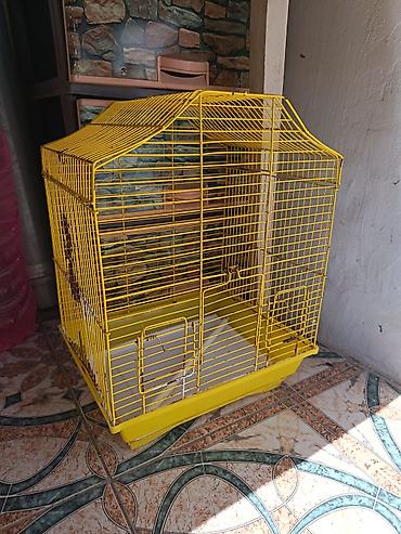 iran qefesi: Sarı metaldan quş qəfəsi Su qabi yem qabi yellencek ustunde qus yemi — 1