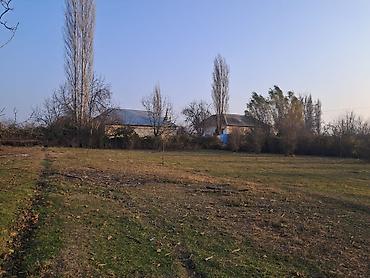 Torpaq sahələrinin satışı: 25 sot, Mülkiyyətçi — 2