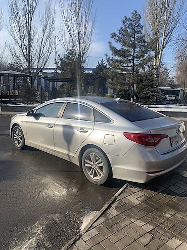 Hyundai: Hyundai Sonata: 2016 г., 2 л, Автомат, Газ, Седан — 4