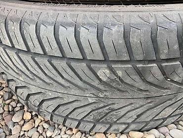 car zrenjanin: SAVA 195/65 R15 LETNJA | Gume Sava Intensa 205/50/15. 4000 obe — 2