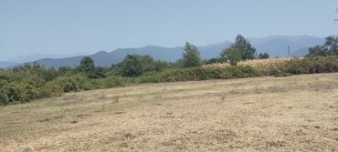 Torpaq sahələrinin satışı: 6 sot, Tikinti, Kupça (Çıxarış) -da lalafo.az — 13 Torpaq sahələrinin satışı: 6 sot, Tikinti, Kupça (Çıxarış) — 13