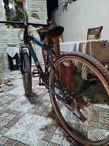 16 lıq velosiped: AKSPORT AK-03 dağ velosipedi - Çərçivə: yüngül ərintili, 26” təkər — 2