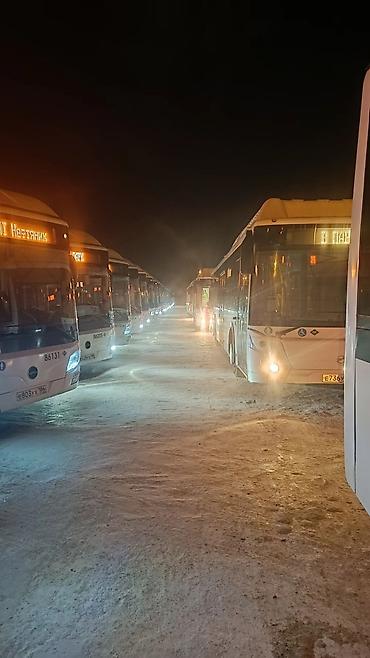 Водители автобуса, буса: Требуется Водитель автобуса, буса, Категория прав (D), 1-2 года опыта, Пятидневка, Старше 23 лет, Официальное трудоустройство — 7