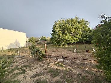 sumqayıt ev: 8 sot, Tikinti, Makler, Kupça (Çıxarış) — 4
