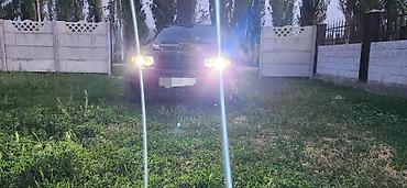 бмв e53: BMW X5: 2003 г., 3 л, Автомат, Дизель, Внедорожник — 1