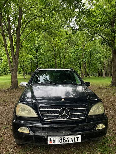 g2 master: Mercedes-Benz ML-Class: 2004 г., 2.7 л, Автомат, Дизель, Внедорожник — 2