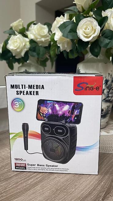 rush wave: Портативная мультимедийная акустика Sing-e ZQS1362 - Модель: ZQS1362 — 1