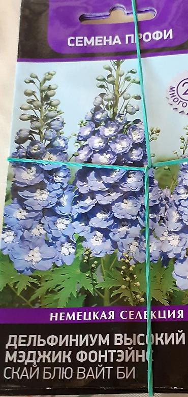 Размещение рекламы: В продаже комнатные цветы и многолетние садовые цветы. 1. Алое вера — 7