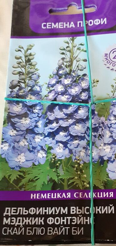 Другие книги и журналы: Продается семена дельфиниумов и катарантусов — 15