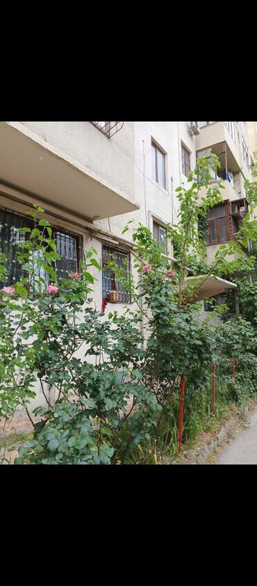 Tulumlar: Bakı, 2-ci mikrorayon, 2 otaqlı, Köhnə tikili, m. Memar Əcəmi, 43 kv. m