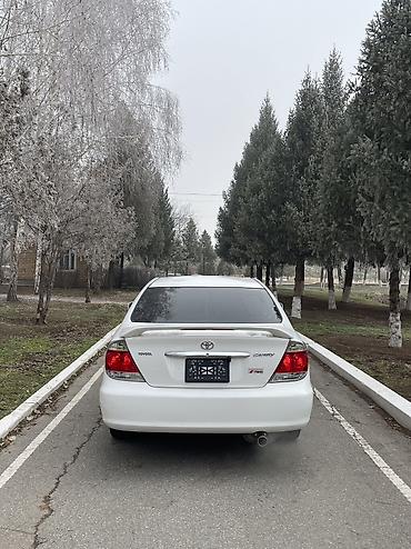 Toyota: Toyota Camry: 2004 г., 2.4 л, Автомат, Бензин, Седан — 11
