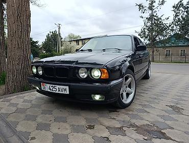 x pipe: BMW 5 series: 1993 г., 2.5 л, Автомат, Бензин, Седан — 3