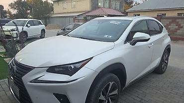 Lexus: Lexus NX: 2020 г., Гибрид, Кроссовер — 1