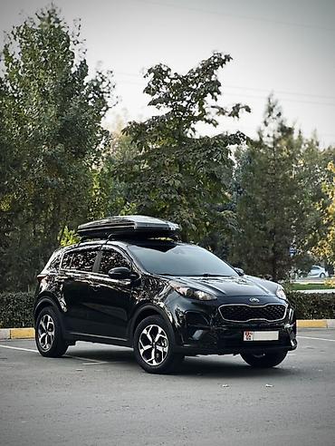 kia korneval: Kia Sportage: 2020 г., 2.4 л, Автомат, Бензин, Кроссовер — 3