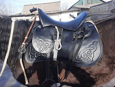 Товары и оборудование для с/х животных: Комплект конной амуниции в традиционном стиле. Состав и особенности — 5