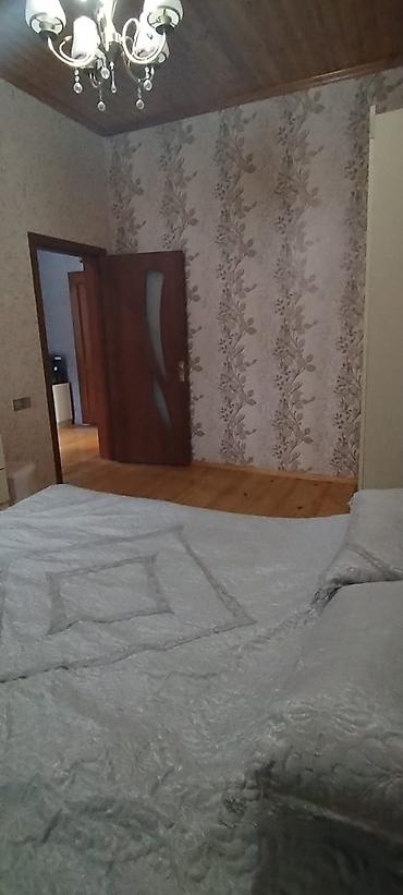 nar agacı: Maştağa Ləhic bağlarında dənizə 2 kilometir məsafədə hər bir şəraiti — 10