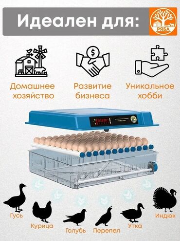 сепаратор для яиц: Автоматический инкубатор для яиц с терморегулятором и электронным