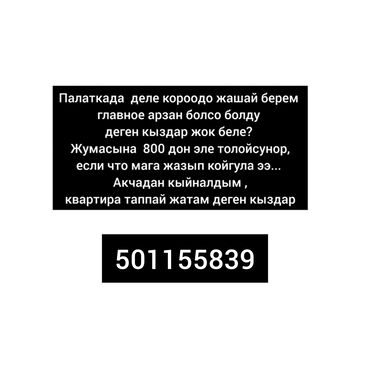 дом с мансардой: Студия, Менчик ээси
